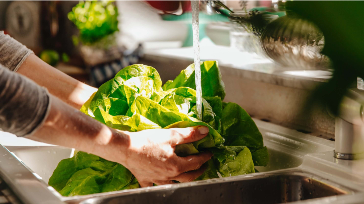 The importance of a healthy weight