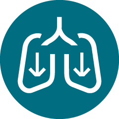 Lung image representing lung function decline
